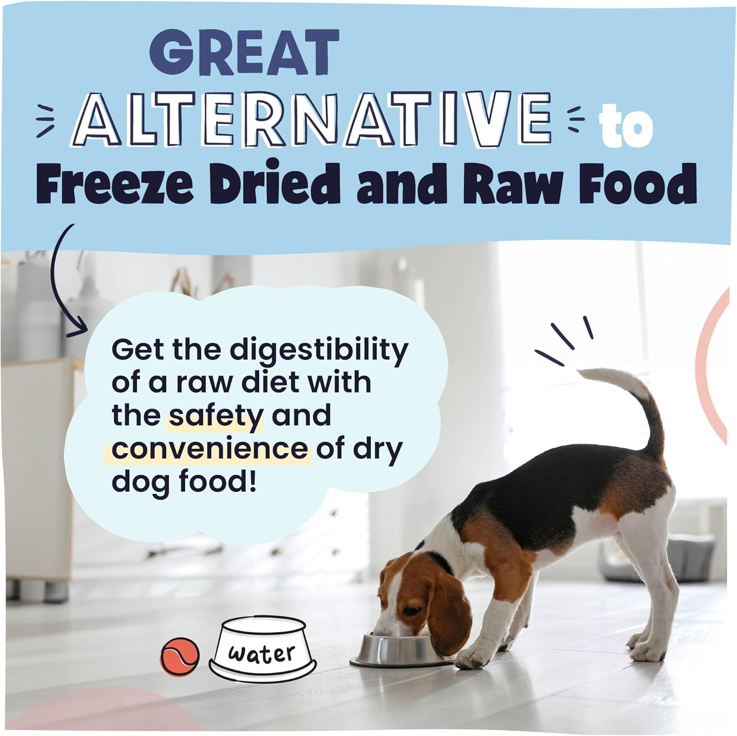 Pawstruck Alimento natural secado al aire para perros con carne de res real, sin granos, fabricado en Estados Unidos, sin OMG y recomendado por
