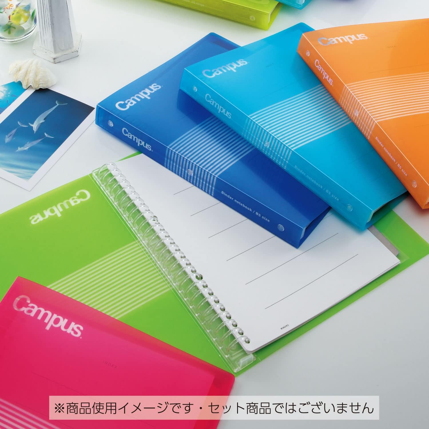 Kokuyo Carpeta de diapositivas campus con rayas transparentes, tipo medio, B5, 26 agujeros, hasta 100 hojas, azul, importación de Japón (RU-P334NB)