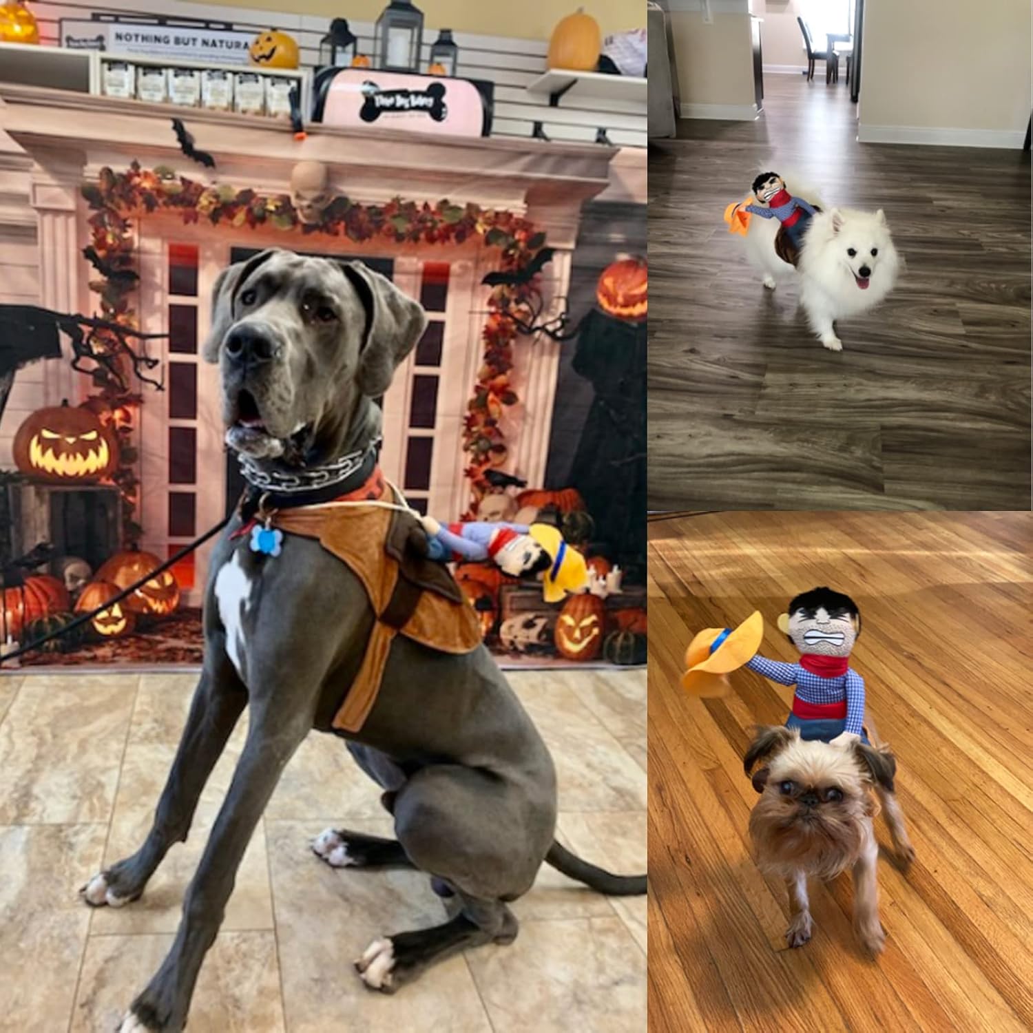 iSmarten Disfraz de vaquero para perro, disfraz de caballero estilo muñeca, sombrero de Halloween, disfraz de mascota (XL)