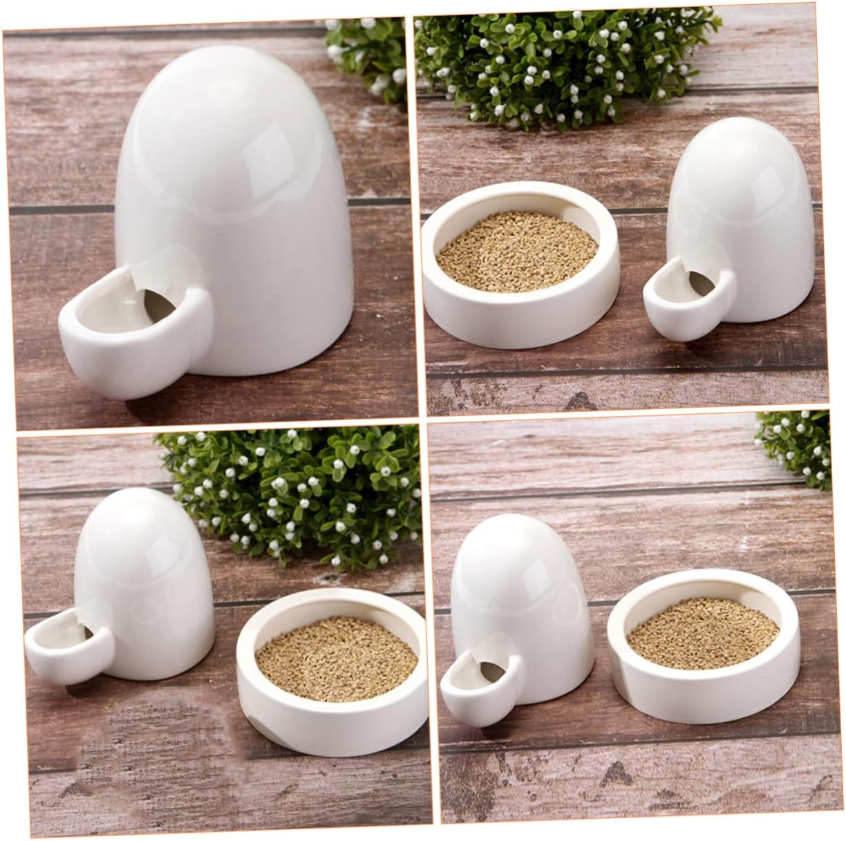 BESTOYARD 2 Sets Rutin Bebedor de Pollo Bebedor de aves de corral Bebedero de aves de corral Bebedero de agua para perros Lagarto Alimentador de