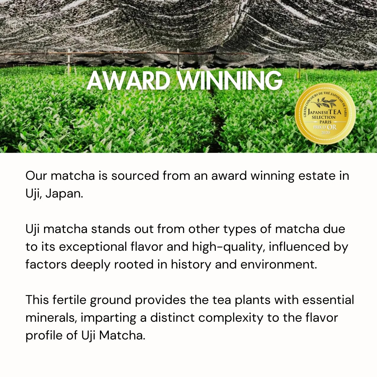 Chazoku Polvo de café con leche de matcha supercargado, auténtico origen japonés, matcha súper ceremonial, endulzado con fruta de monje (bolsa de 15