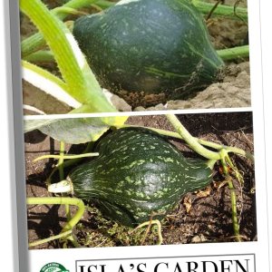 True Green – Semillas de calabaza Hubbard mejoradas para plantar, 25 semillas tradicionales por paquete, semillas de jardín de Isla (semillas de True Green – Semillas de calabaza Hubbard mejoradas para plantar, 25 semillas tradicionales por paquete, semillas de jardín de Isla (semillas de