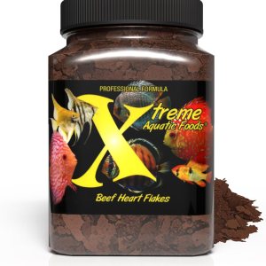 Xtreme Beef Heart Flakes – Alto contenido en proteínas, rico en nutrientes para peces tropicales y de agua dulce, apoya el crecimiento, mejora del Xtreme Beef Heart Flakes – Alto contenido en proteínas, rico en nutrientes para peces tropicales y de agua dulce, apoya el crecimiento, mejora del
