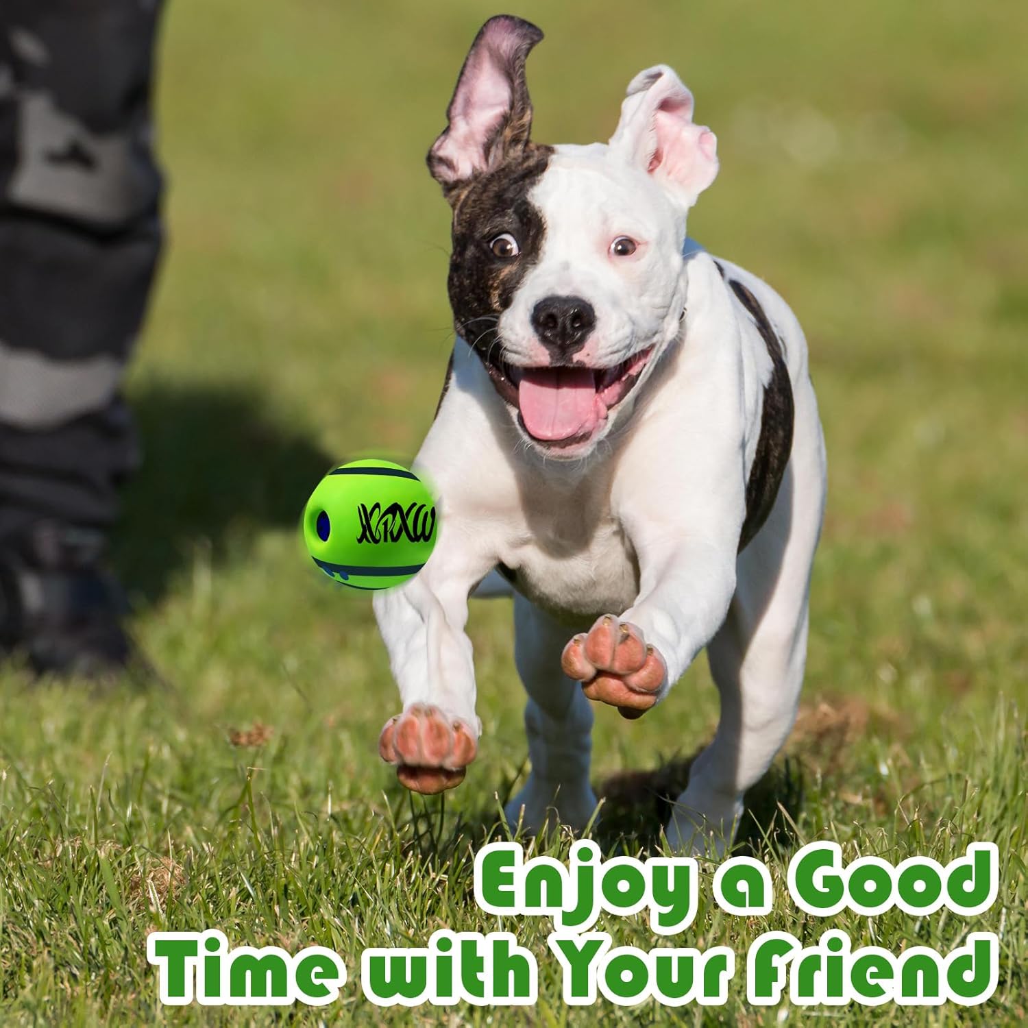 XXRXW Pelota de risita pequeña de 2.75 pulgadas para perros, suministros interactivos chirriantes para mascotas, juguetes divertidos para