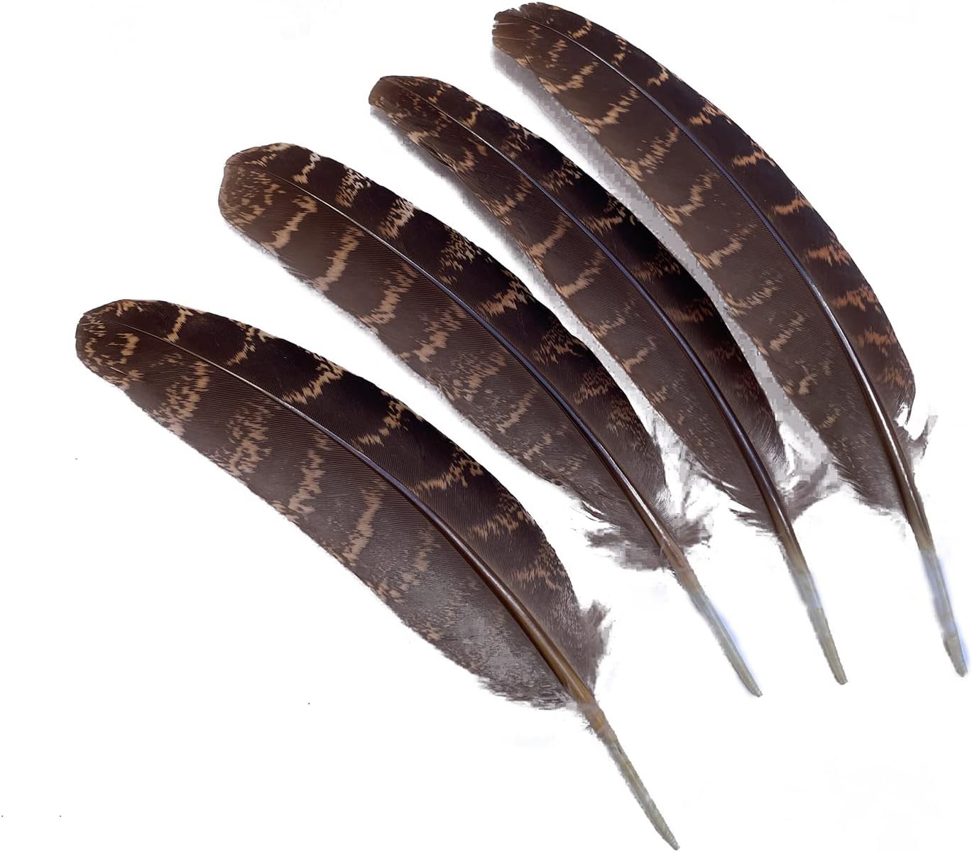Zamplinka Plumas naturales de pavo de 5 a 7 pulgadas para manualidades de fiesta, decoración de bricolaje por paquete de 10