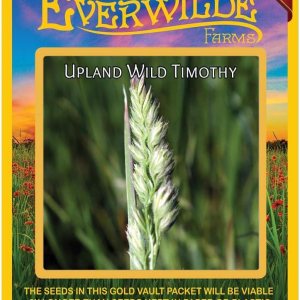 Everwilde Farms – 1000 semillas de hierba nativa Timothy silvestre Upland – Paquete de semillas jumbo Gold Vault Everwilde Farms – 1000 semillas de hierba nativa Timothy silvestre Upland – Paquete de semillas jumbo Gold Vault