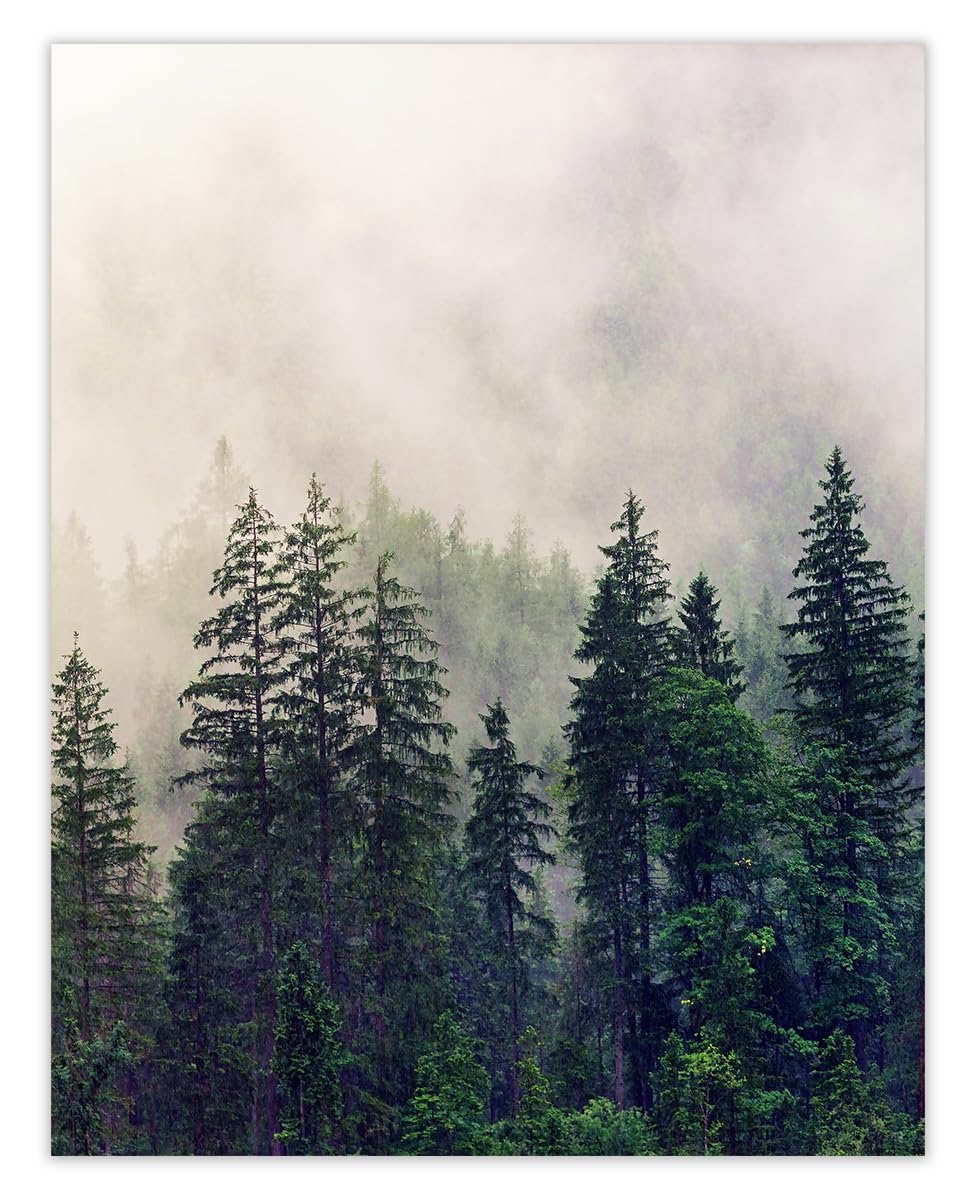 Foggy Forest Abstract Wall Art Minimalist, Aesthetic & Boho Wall Art for Home, Office, Bedroom & Living Room Decor  Unframed Posters 11×14″