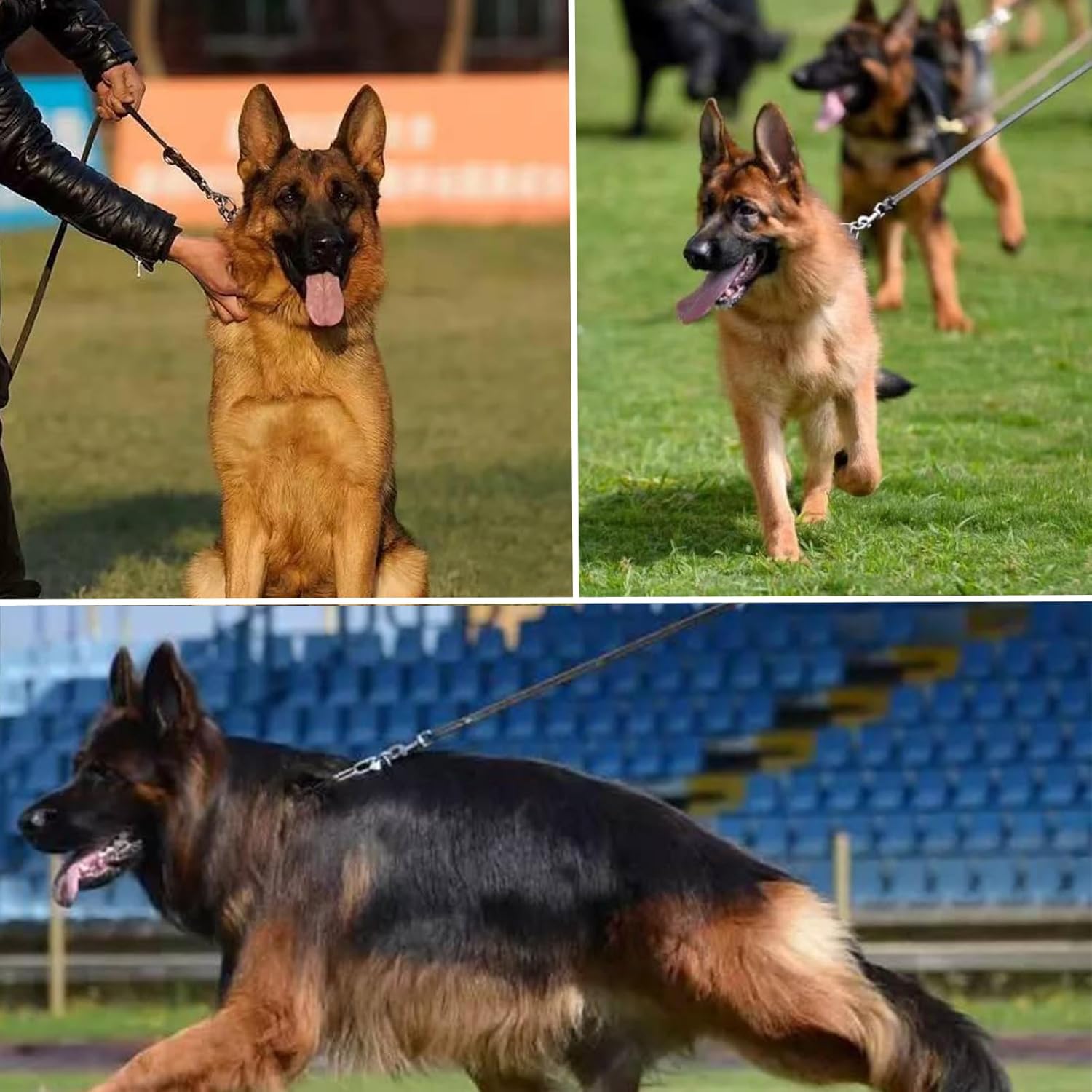 Correa de cuero para perro de 6 pies x 25 pulgadas, correa trenzada duradera para entrenamiento de perros, correa de cuero resistente y resistente,