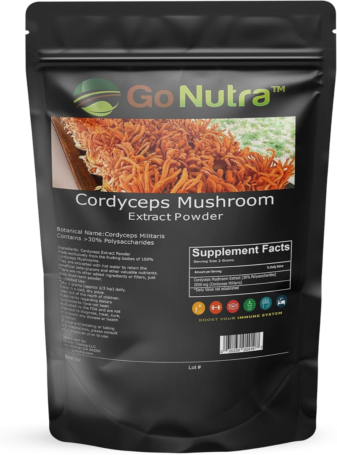 Go Nutra Cordyceps – Polvo de hongos  Extracto de Cordyceps al 30% de polisacáridos sin OMG puro Cordycep en polvo 4 onzas (3.99 oz)