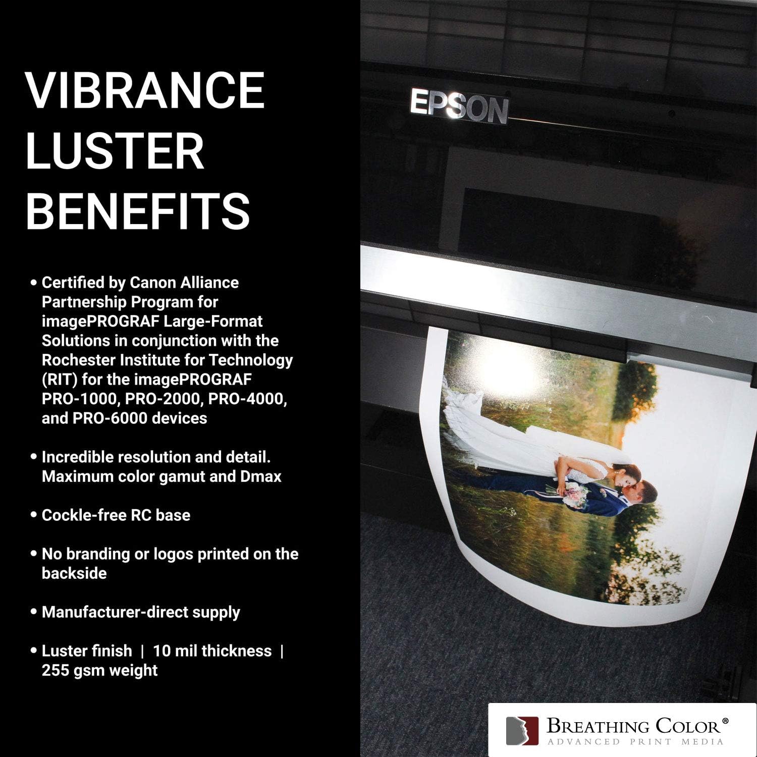 Vibrance Luster – Papel para impresora fotográfica, 8.99 ozm, acabado brillante, rollo de papel fotográfico prémium con núcleo de 3 pulgadas, 60