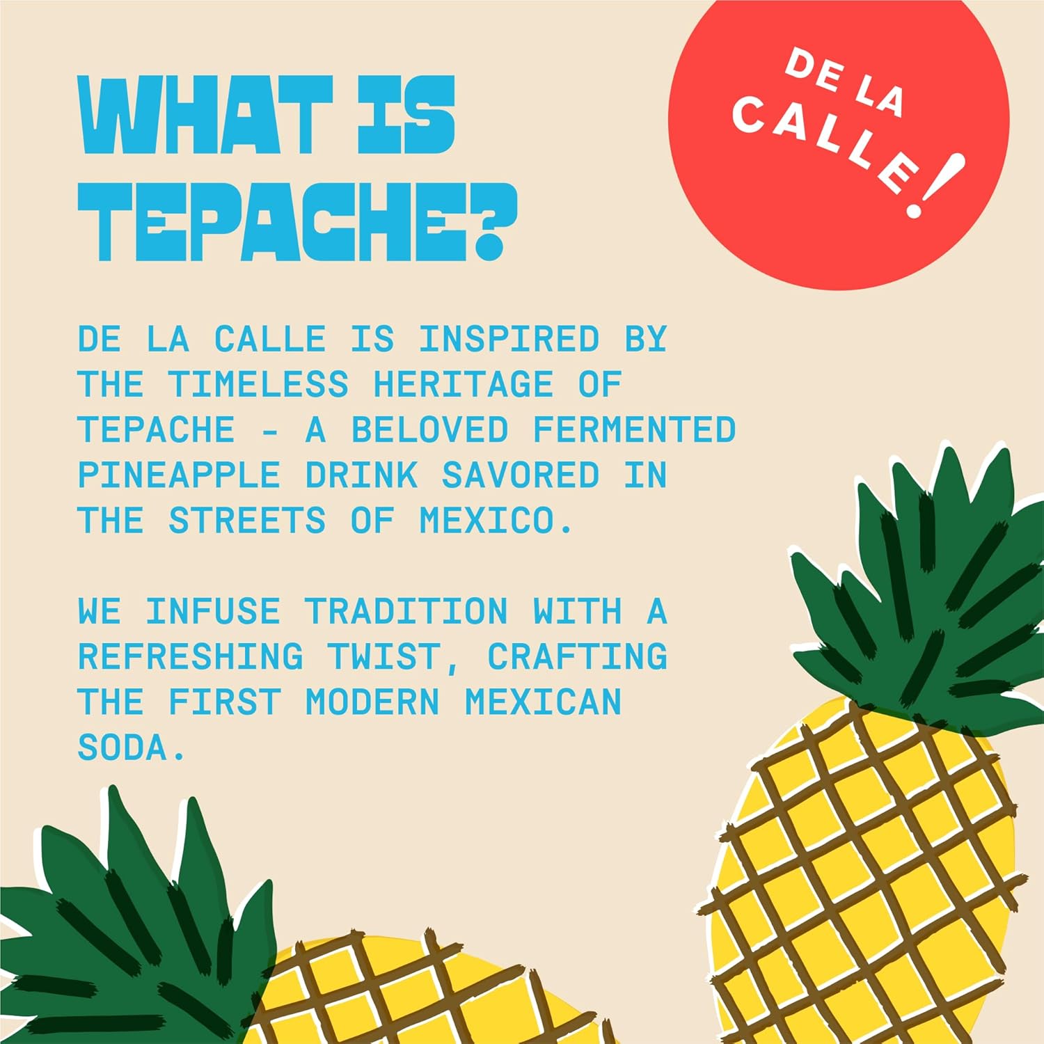 De La Calle Tepache – Ginger Manzana – Soda mexicana moderna – Bebida espumosa de piña fermentada artesanal – Orgánica certificada, rica en