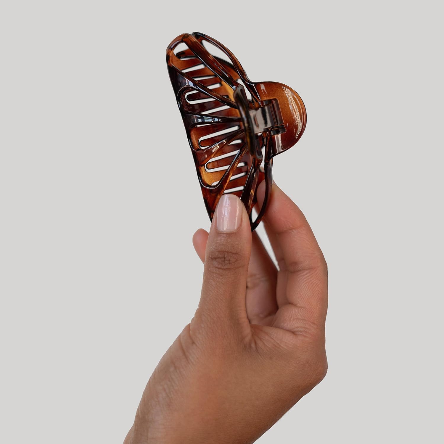 France Luxe Mandíbula grande Nautilus – Tortuga