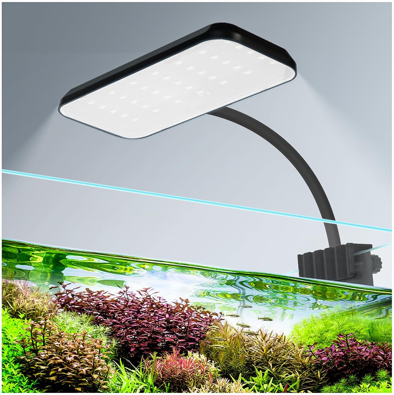 Boxtech Luz LED para pecera, pequeña luz de clip para acuario, luz de abrazadera LED blanca de 8 W, luz plantada de espectro completo USB de 4.53