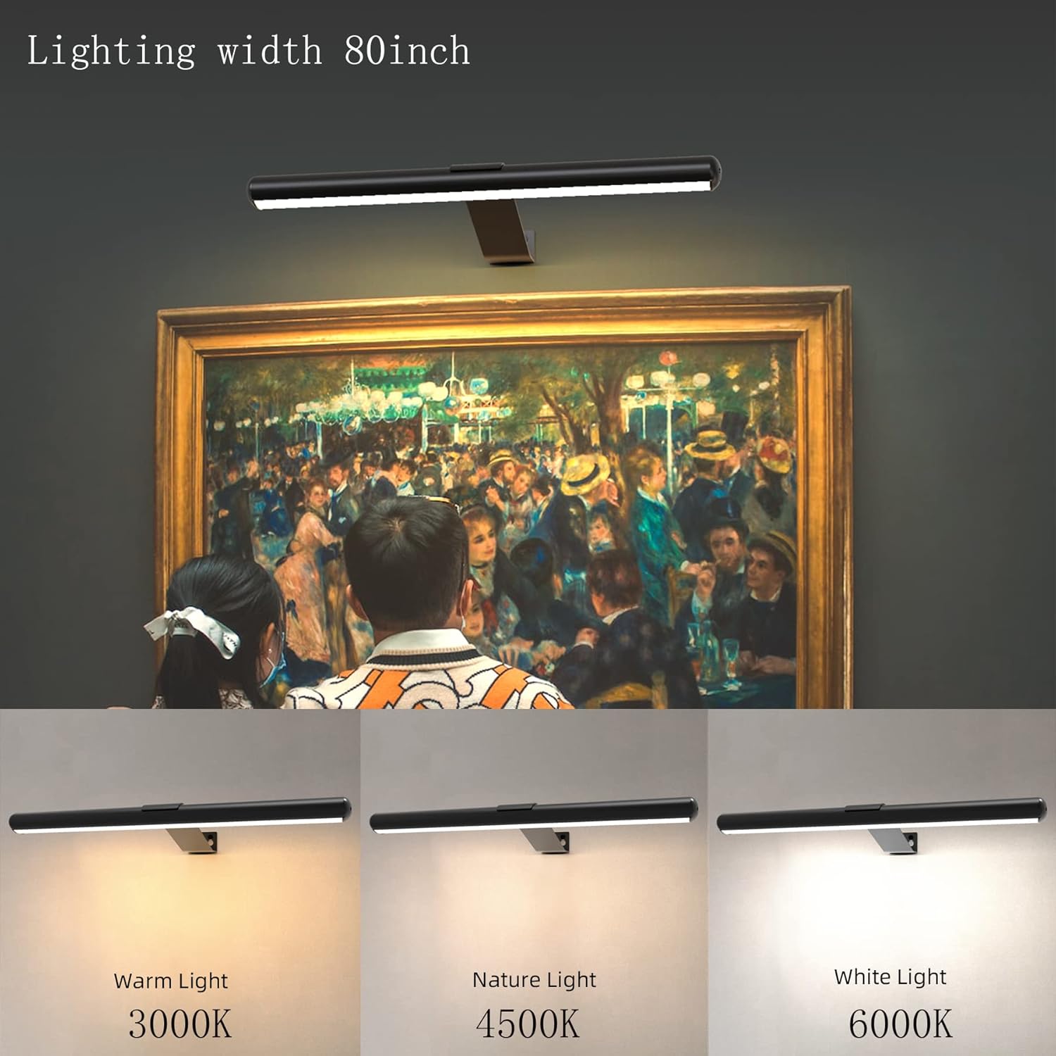 Luz de imagen inalámbrica de 16 pulgadas, batería recargable, luz de pintura de metal completo con control remoto, luz LED de exhibición de arte