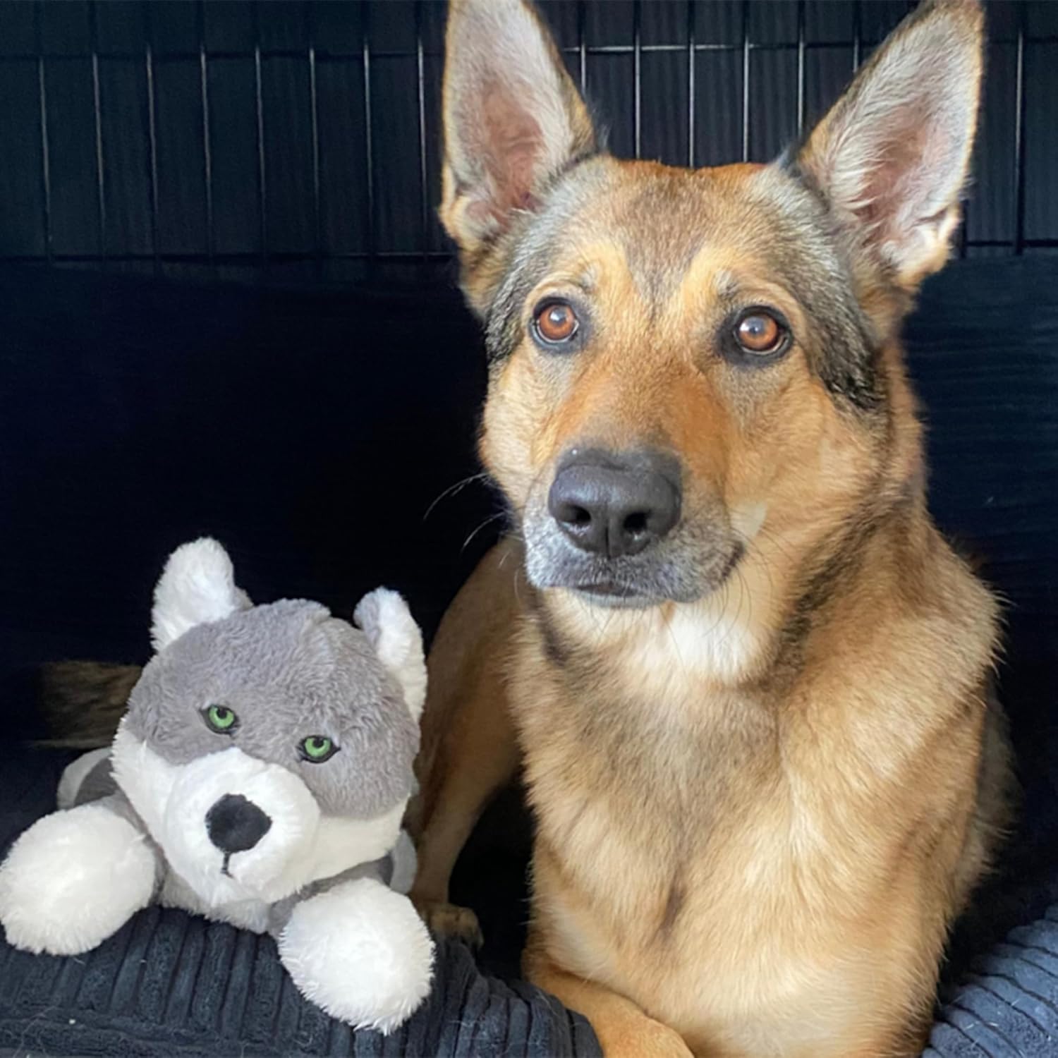 Fenrir Juguete de peluche esponjoso de lobo para perros