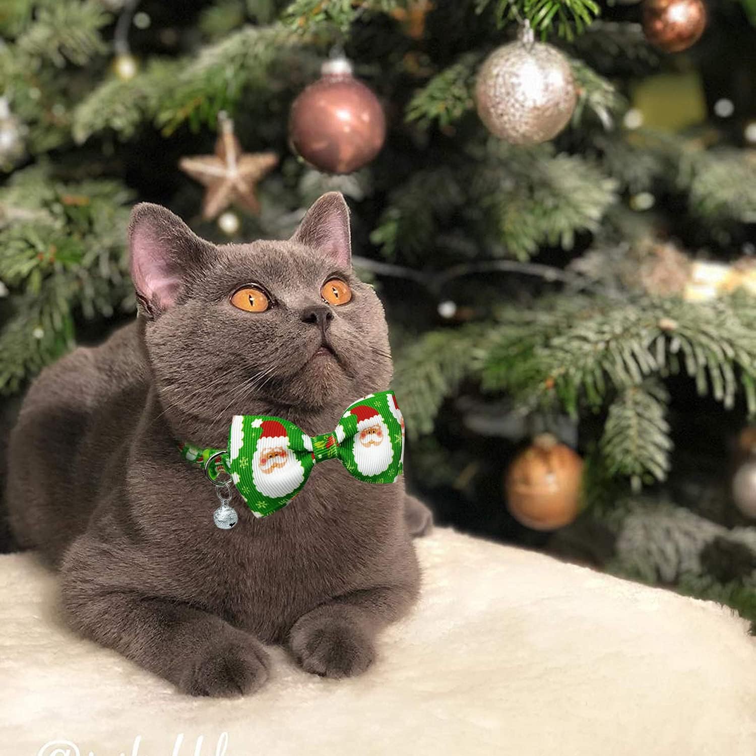 Pohshido Collar de gato navideño con pajarita y campana, paquete de 2 gatitos de invierno para niño y niña