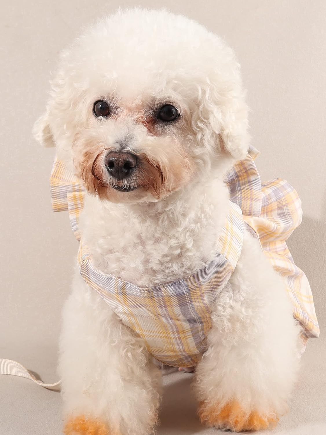 QWINEE Juego de 2 piezas de arnés y correa para perro, estampado a cuadros, decoración de lazo, vestido de princesa para cachorro, gato, vestido de