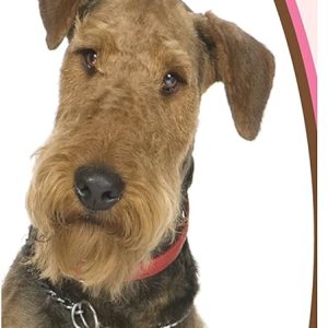 Healthy Breeds Airedale Terrier Champú Desodorizante 16 oz Healthy Breeds Airedale Terrier Champú Desodorizante 16 oz