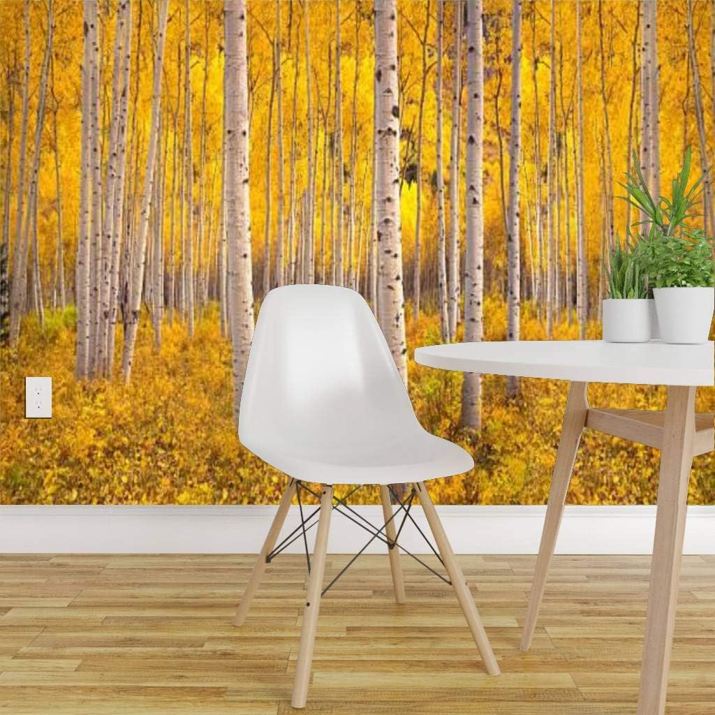 Papel pintado de otoño álamo temblón bosque en las montañas rocosas co otoño bosque stock autoadhesivo papel tapiz autoadhesivo gran pared adhesivo