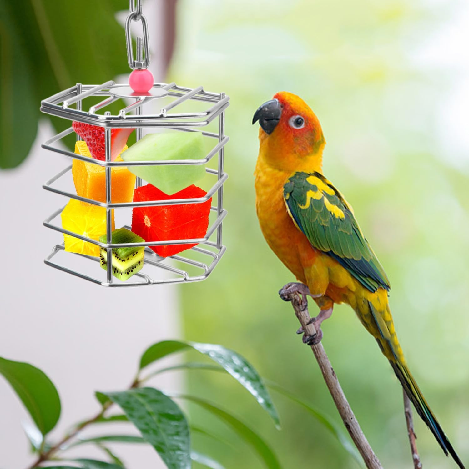 Alimentador de forraje de acero inoxidable para pájaros, caja de alimentación colgante para guacamayo, cacatúa gris africana, cacatúa, jaula de
