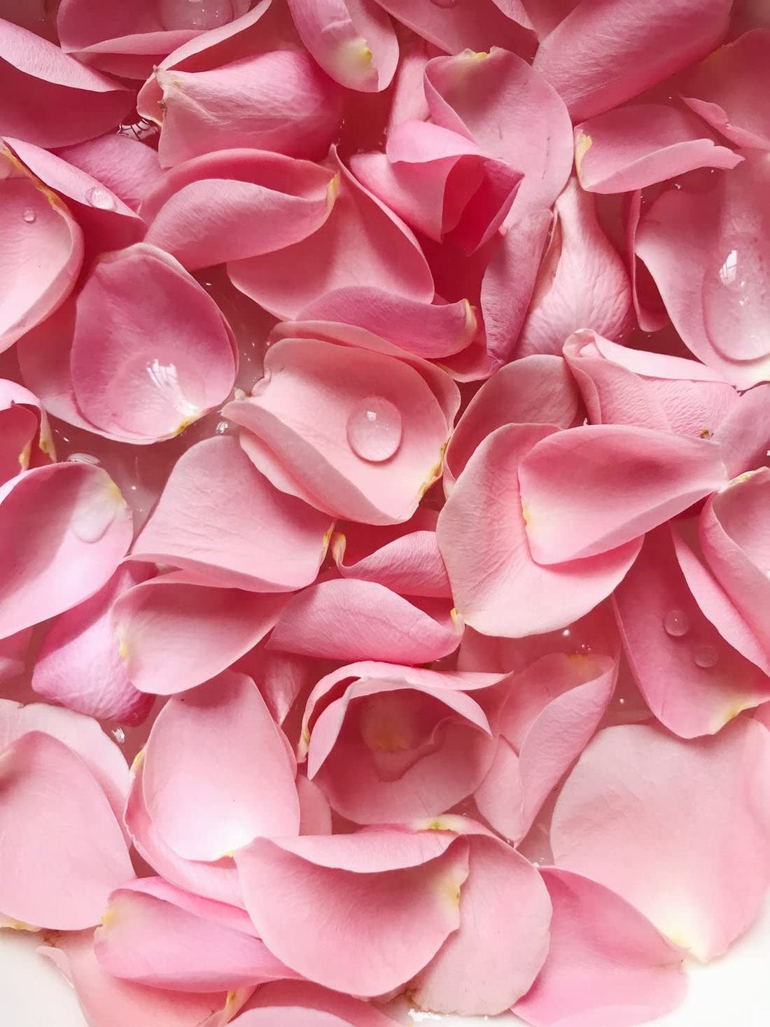 Govedic Agua de rosas para cocinar, hornear, cócteles  Agua de rosas 100% de grado alimenticio  Cuidado facial y capilar  Rosa de damasco comestible