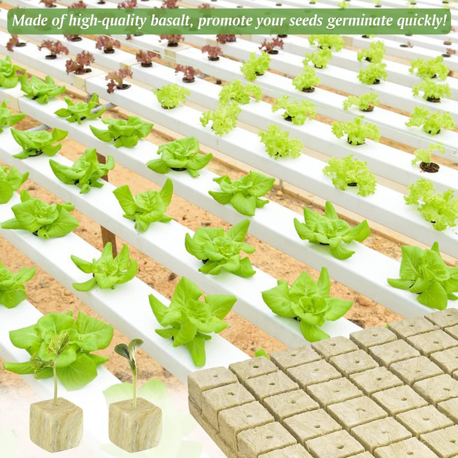 Halatool Cubos de lana de roca de 2 pulgadas para jardín, cubos de cultivo de lana de roca, tapones para cultivo hidropónico, sin suelo, esquejes,