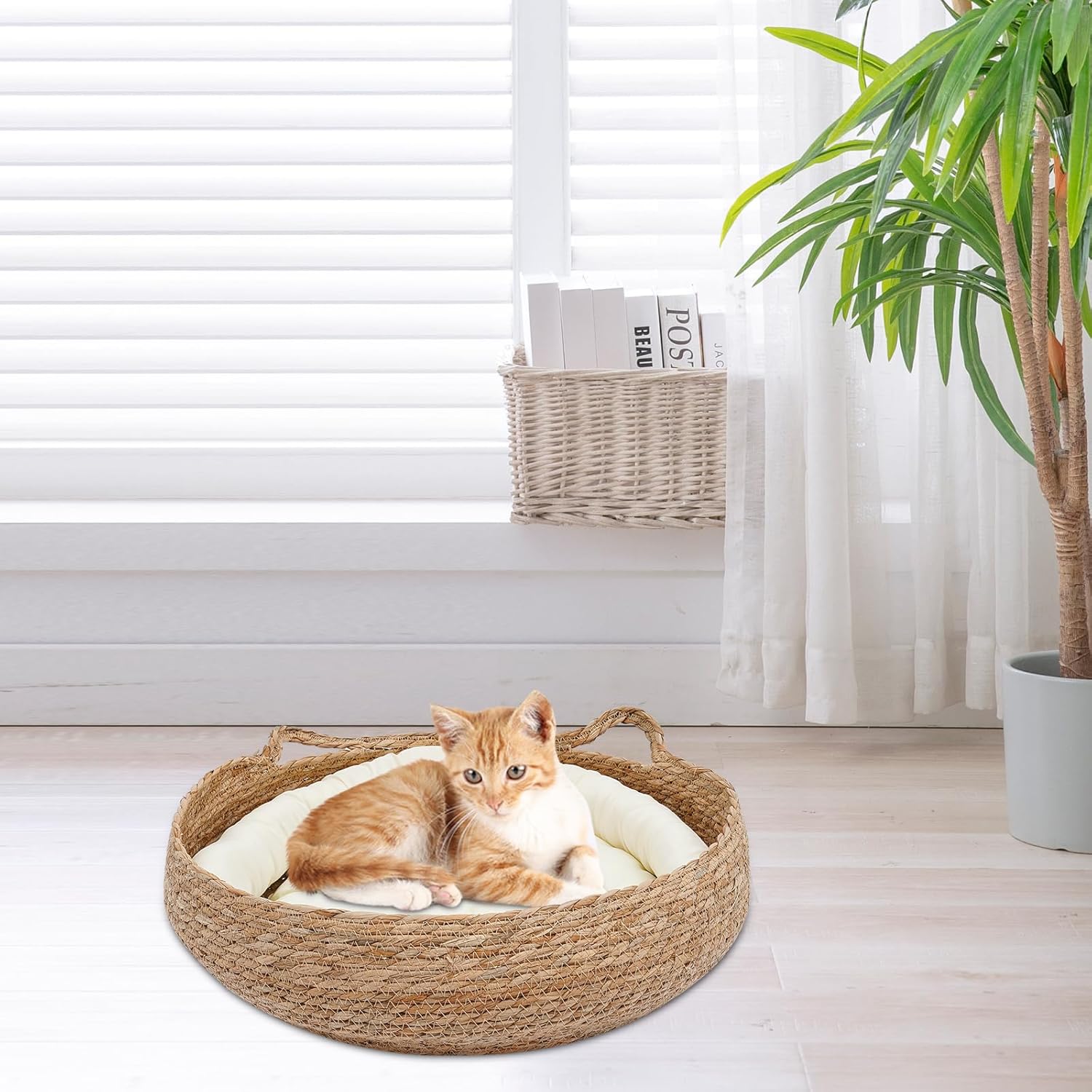 LUGBING Cama tejida suave para gatos, 16.9 pulgadas, cómodo rascador para gatos con cojín, almohada y alfombrilla de bambú, nido de dormir