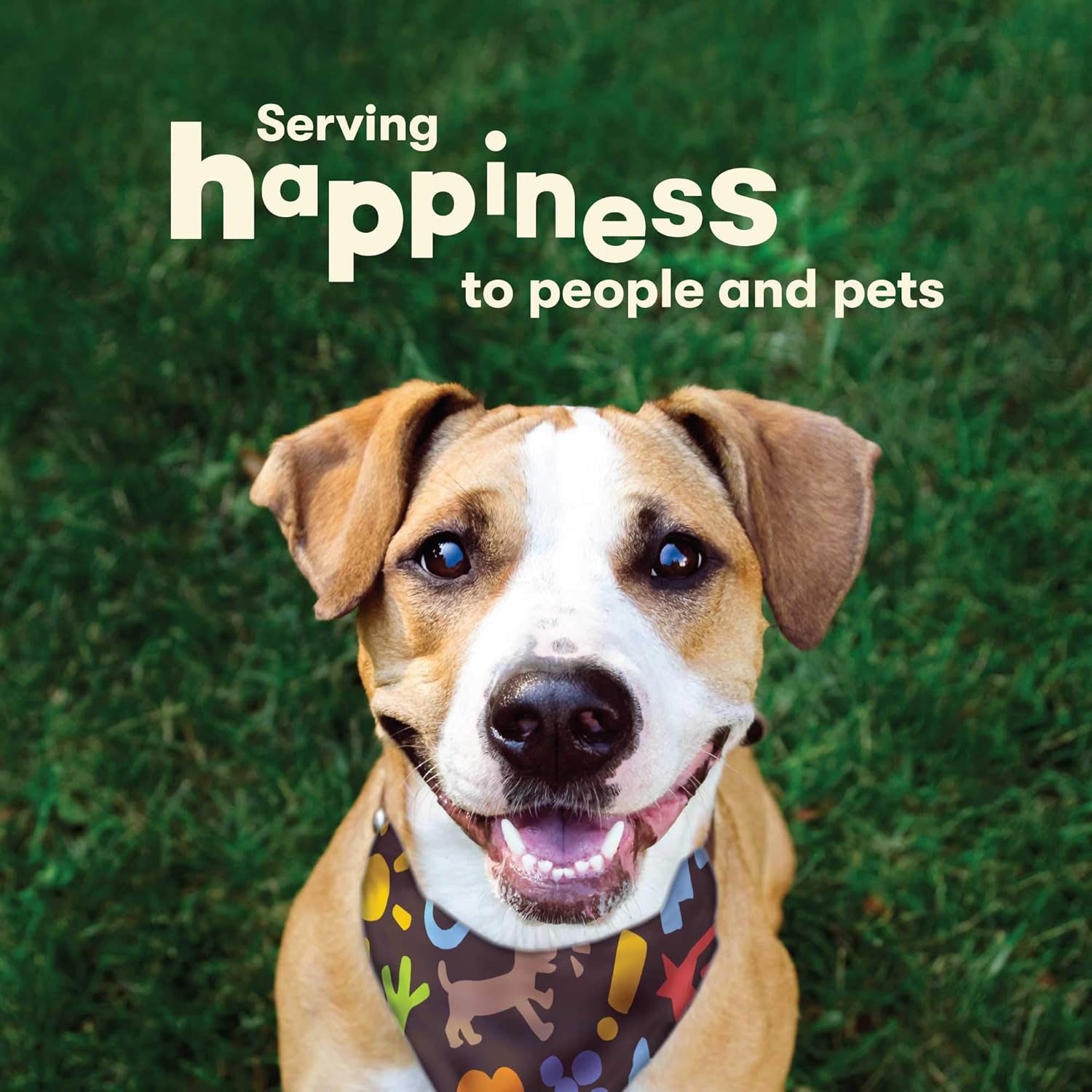 Pet ‘n Shape Golosinas para perros de cordero Jerky – 9 onzas