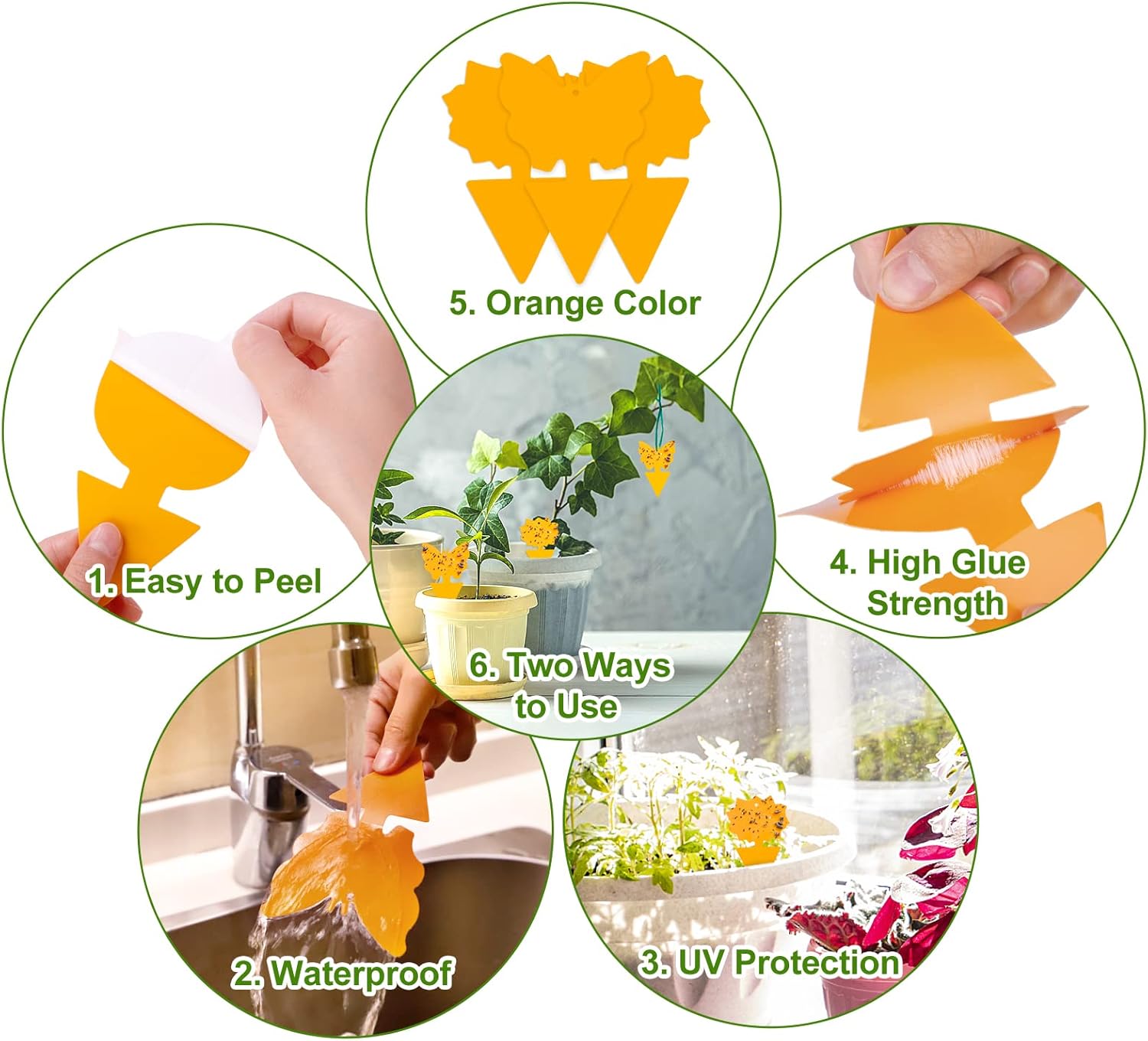 12trampas adhesivas de interiores para moscas de la fruta y mosquitos, trampas para mosquitos del hongo e insectos, para plantas domésticas
