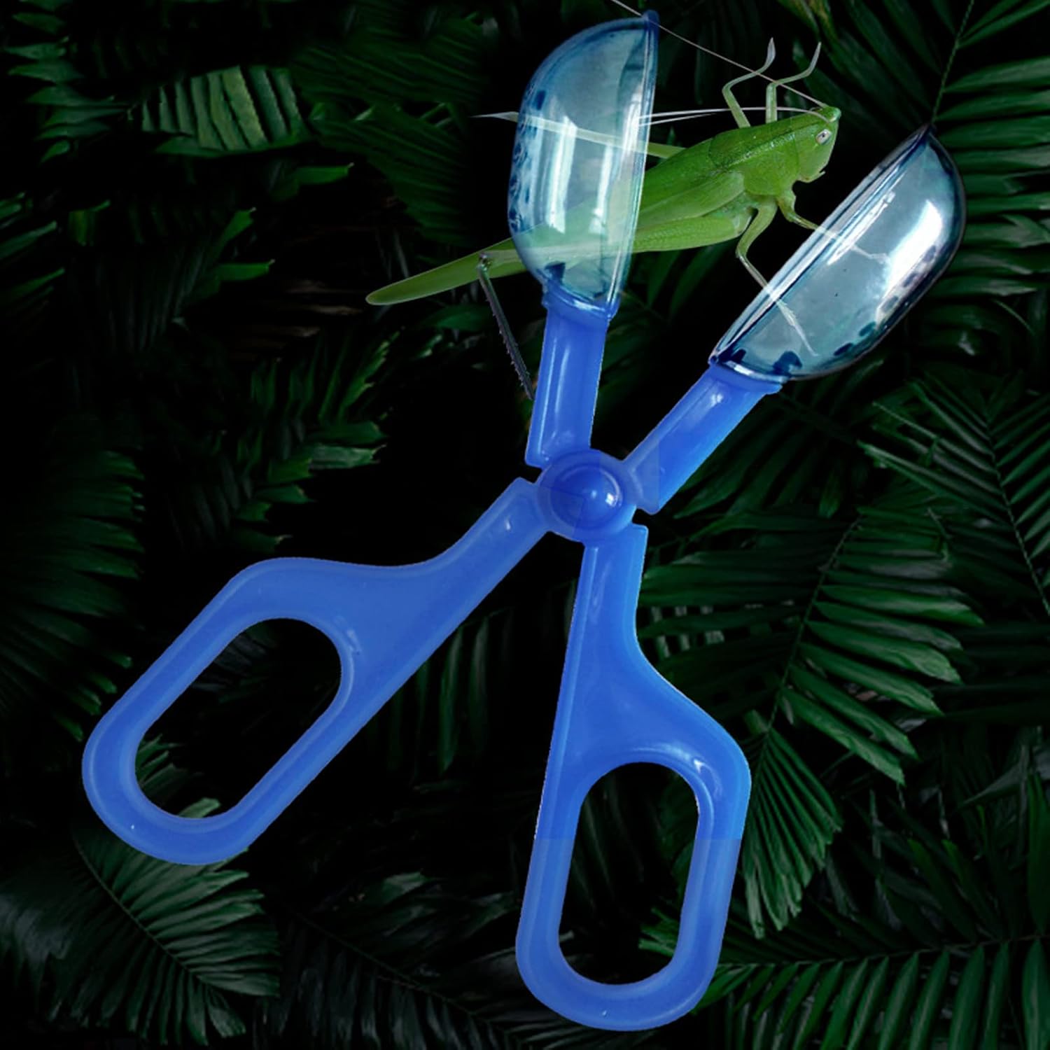 Herramienta de limpieza azul de alimentación de reptiles, herramienta de alimentación de anfibios, terrario, araña, grillo, abrazadera, 1 ud