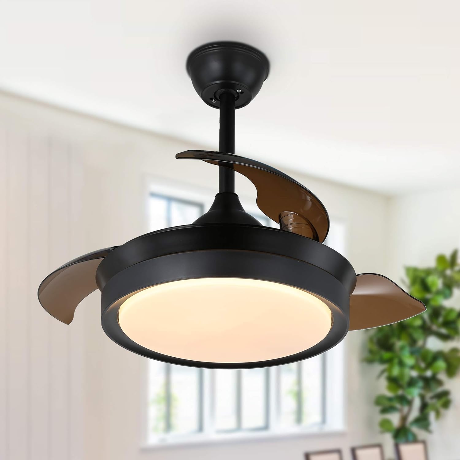 Dawn Whisper Ventilador de techo retráctil de 36 pulgadas con luces y control remoto, moderno ventilador de techo con aspas retráctiles, motor