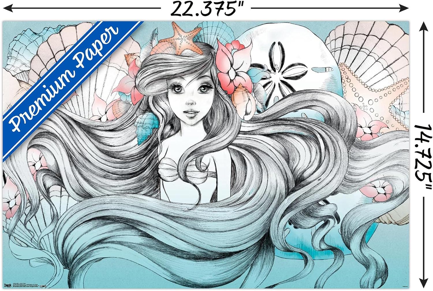 Trends International Disney La Sirenita Ariel – Póster de pared de tierra o mar, 14.725 x 22.375 pulgadas, versión premium sin marco