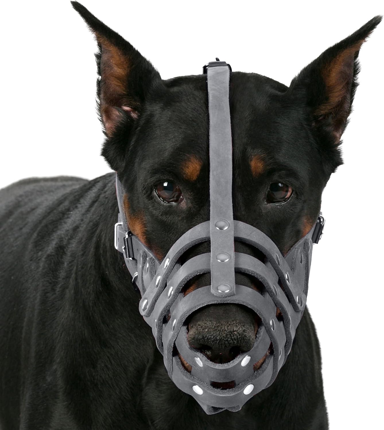 CollarDirect Bozal de cuero para perro Doberman, pastor alemán, dálmata, razas medianas y grandes, color rosa y gris (L, gris)