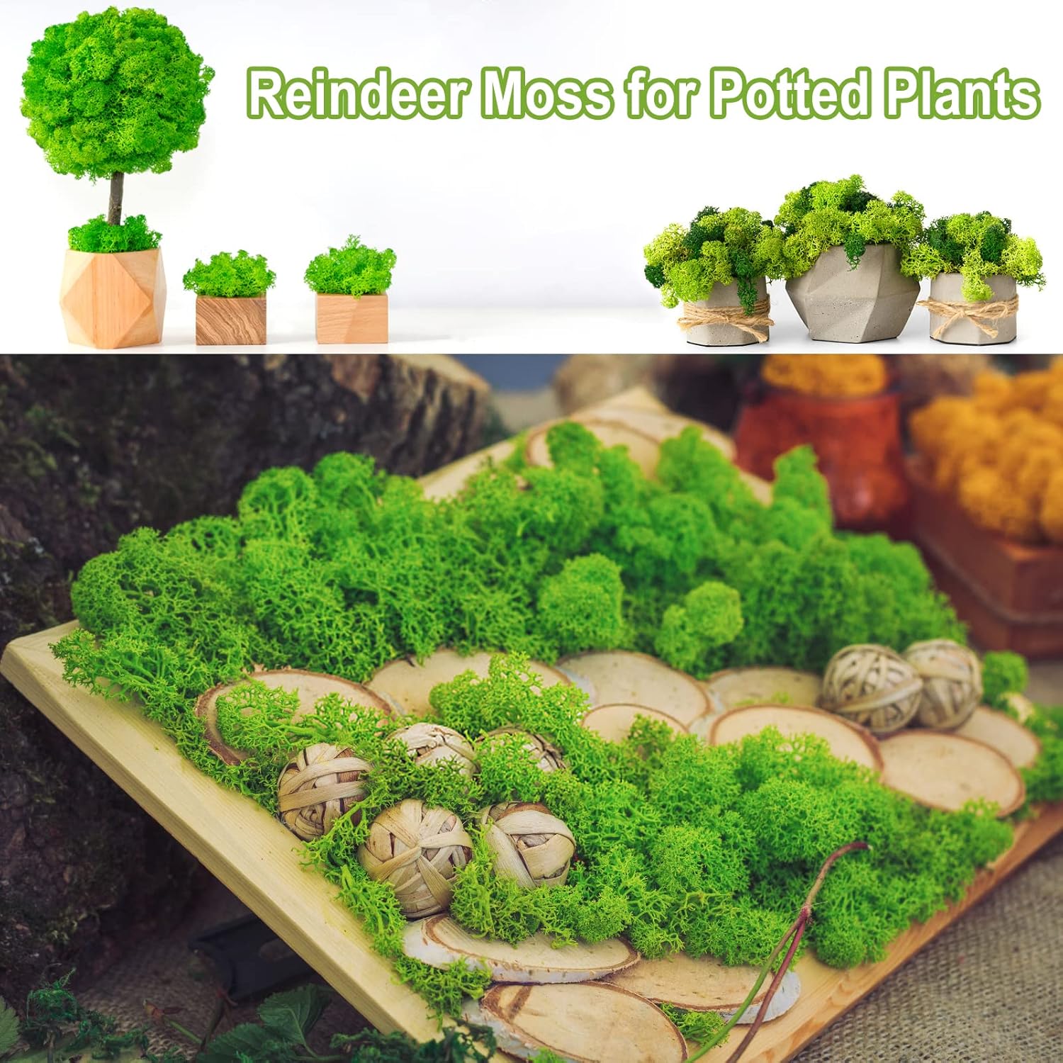 Pextian Musgo verde preservado para manualidades, musgo de reno de 8 onzas para plantas en maceta, musgo artificial decorativo para bodas,