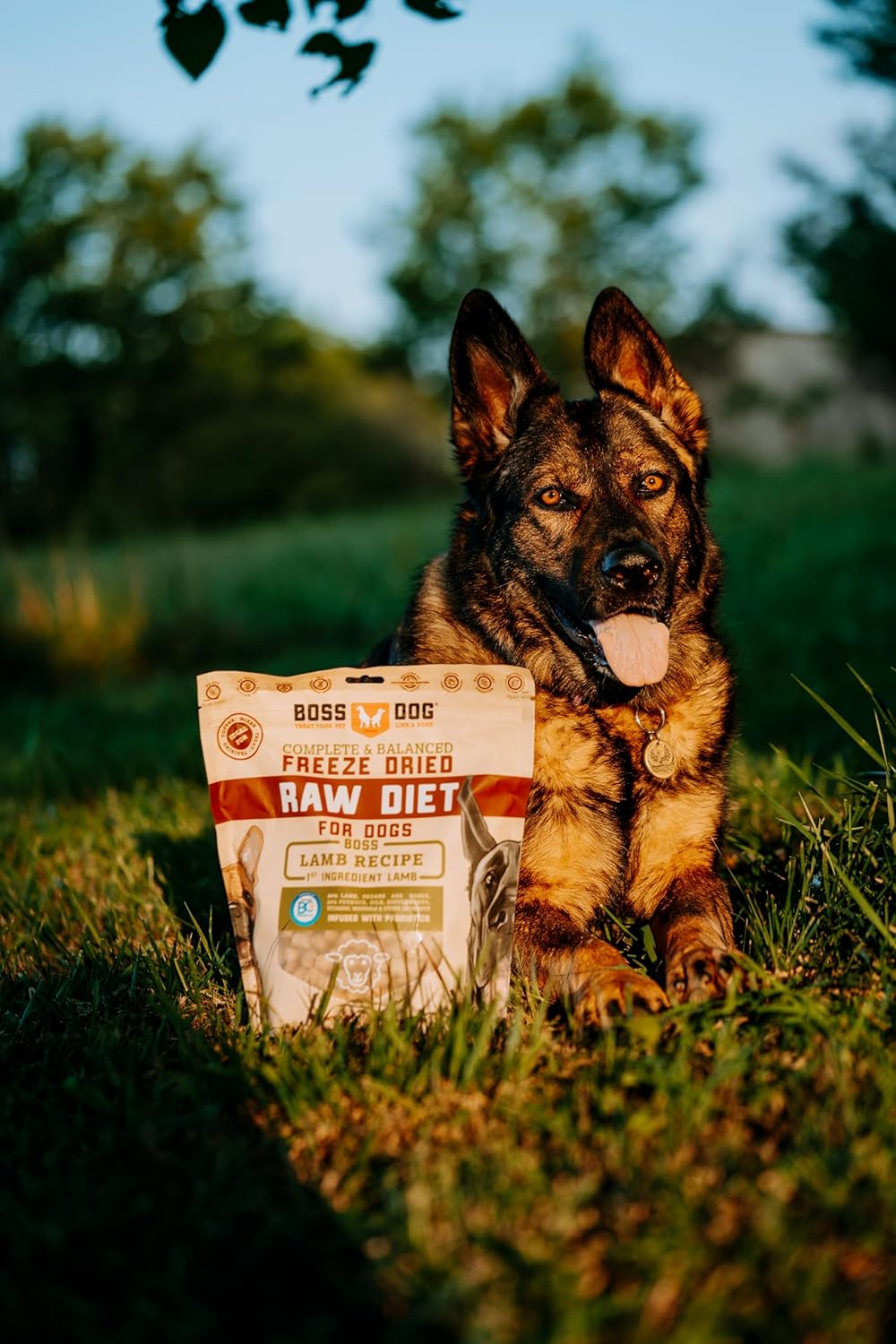 Boss Dog Marca completa y equilibrada dieta cruda liofilizada para perros 12oz bolsa (cordero)