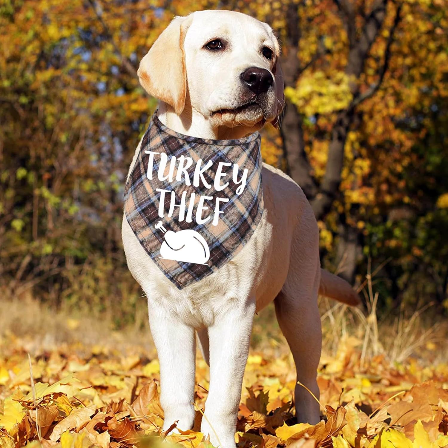 Bandanas para perros de Halloween, Día de Acción de Gracias, Navidad, paquete de 4 bandanas de varios tamaños para perros pequeños, medianos y