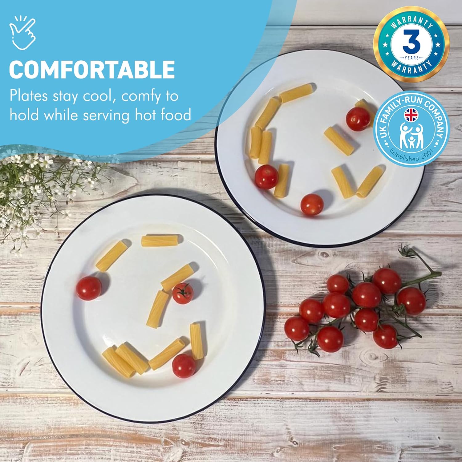 Thorness 2 platos llanos esmaltados blancos de 9.4 in  Plato esmaltado  Juego de 2 platos  Plato tradicional  Plato de cocina para tartas,