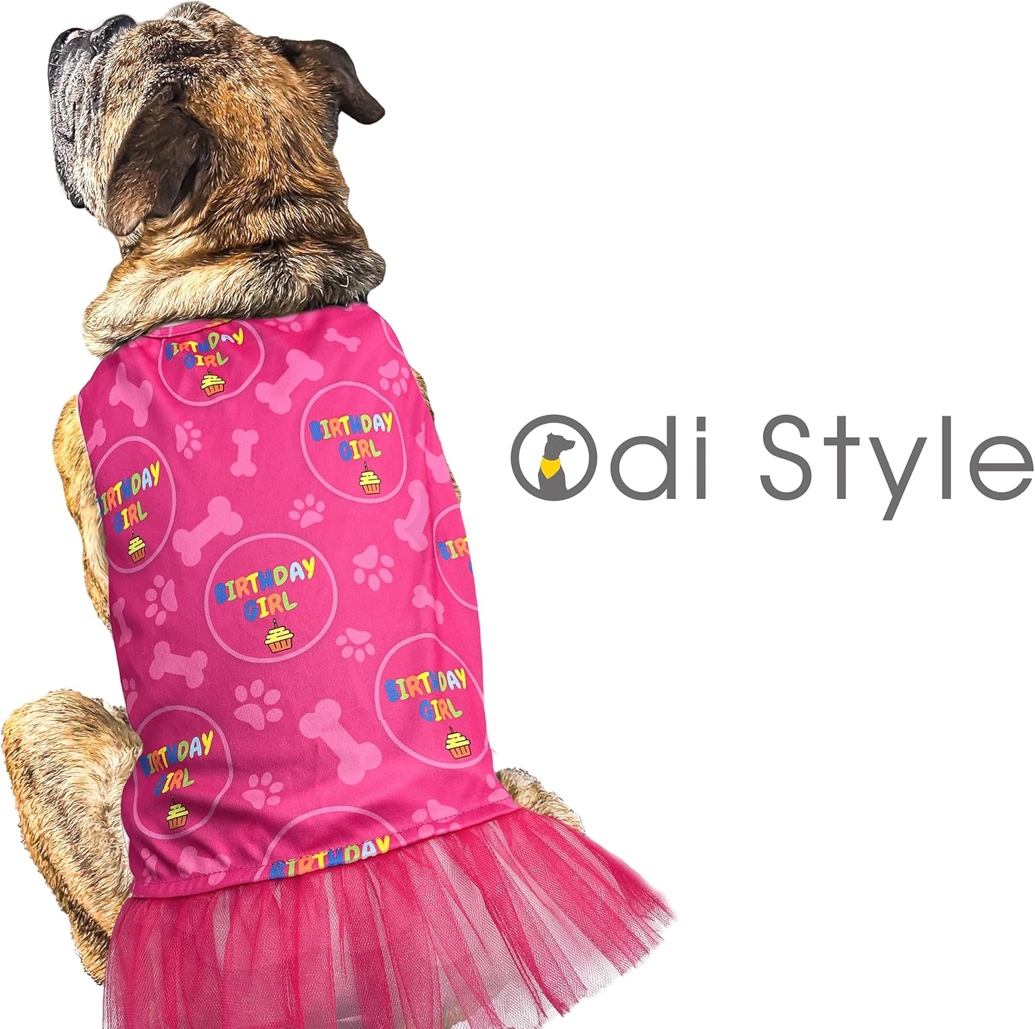 Odi Style Disfraz de cumpleaños para niña, suministros para fiesta de cumpleaños para perro, sombrero de fiesta de perro, corona y vestido de