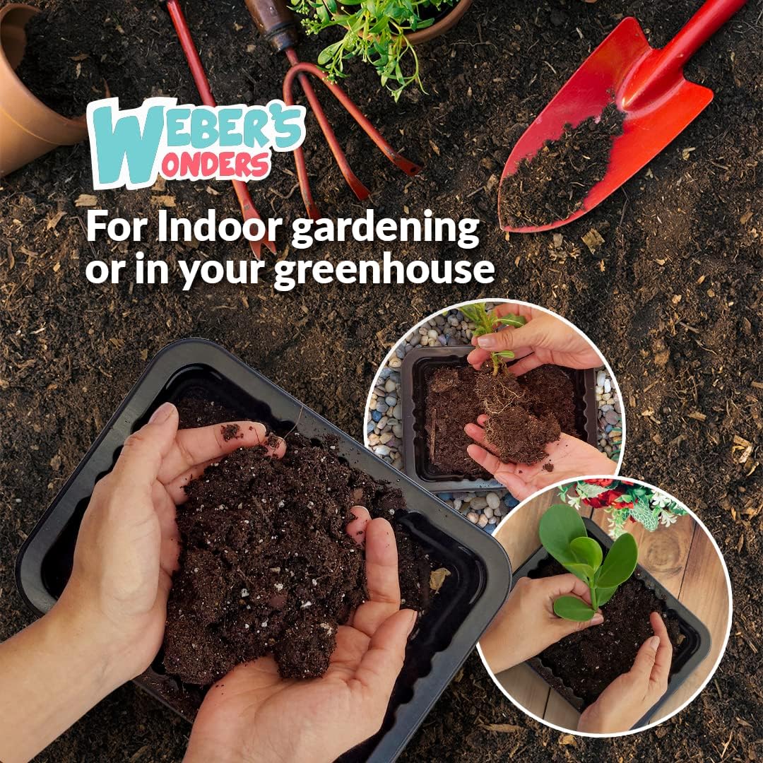 Weber’s Wonders Paquete de 10 bandejas de cultivo de plantas, sin agujeros de drenaje, bandejas perfectas para semillas de jardín, bandejas de