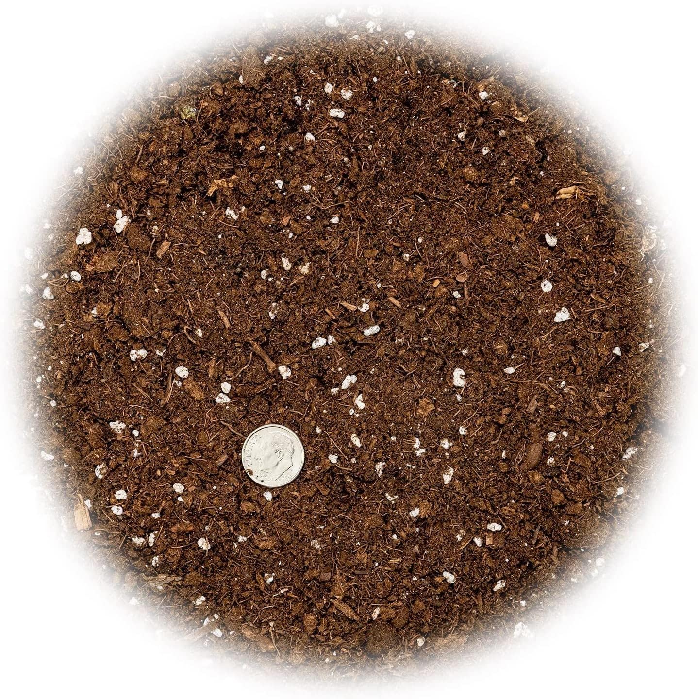 GARDENERA Mezcla de suelo Dracaena prémium  1 cuarto de galón  Mezcla para macetas formulada por expertos para árboles y arbustos Dracaena prósperos