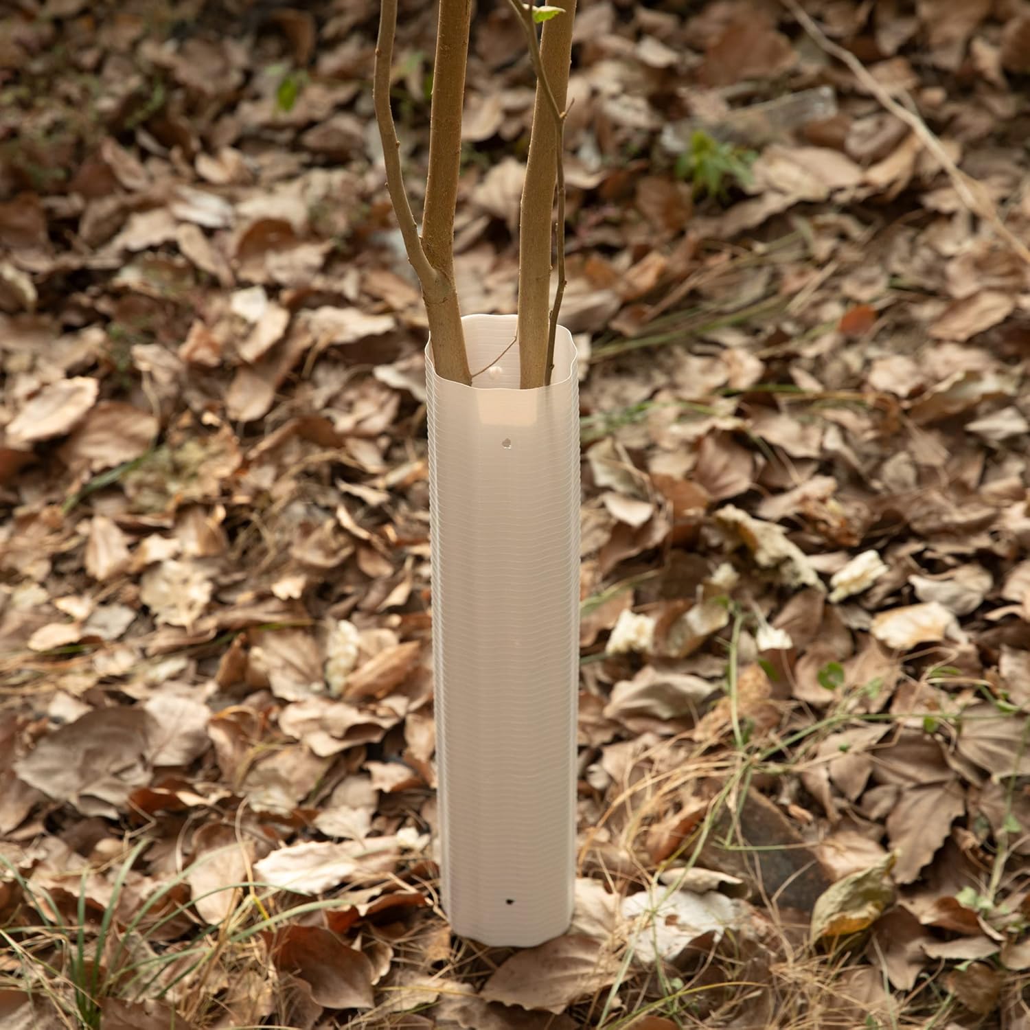 10 protectores de árboles, protector de tronco de árbol expandible, tubos de cultivo alrededor de la corteza del tronco para proteger árboles de