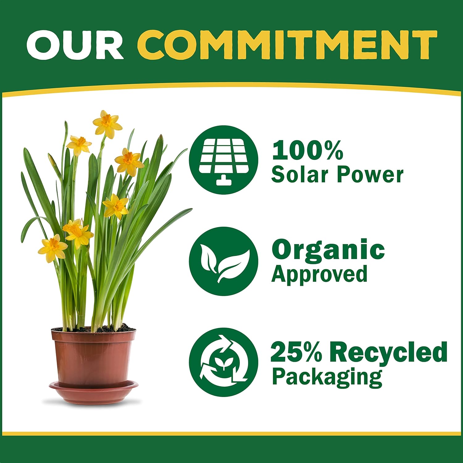 Espoma Organic Orchid! Alimento concentrado para plantas de 8 onzas  Fertilizante vegetal y potenciador de floración para todas las orquídeas y