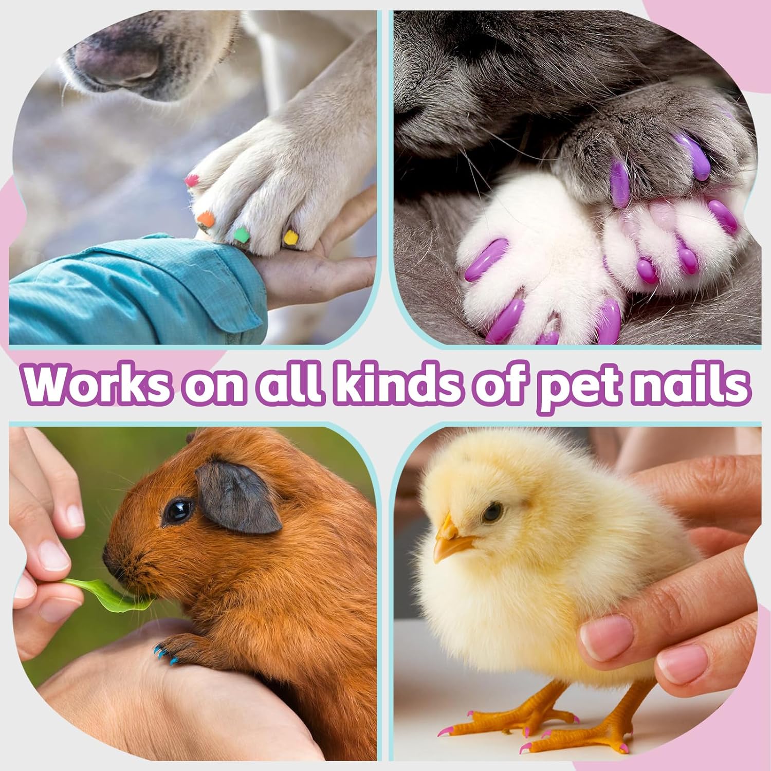 Esmalte de uñas para perro, 18 colores, de secado rápido, no tóxico, inodoro, fácil de aplicar con puntas de pincel, larga duración, uñas para