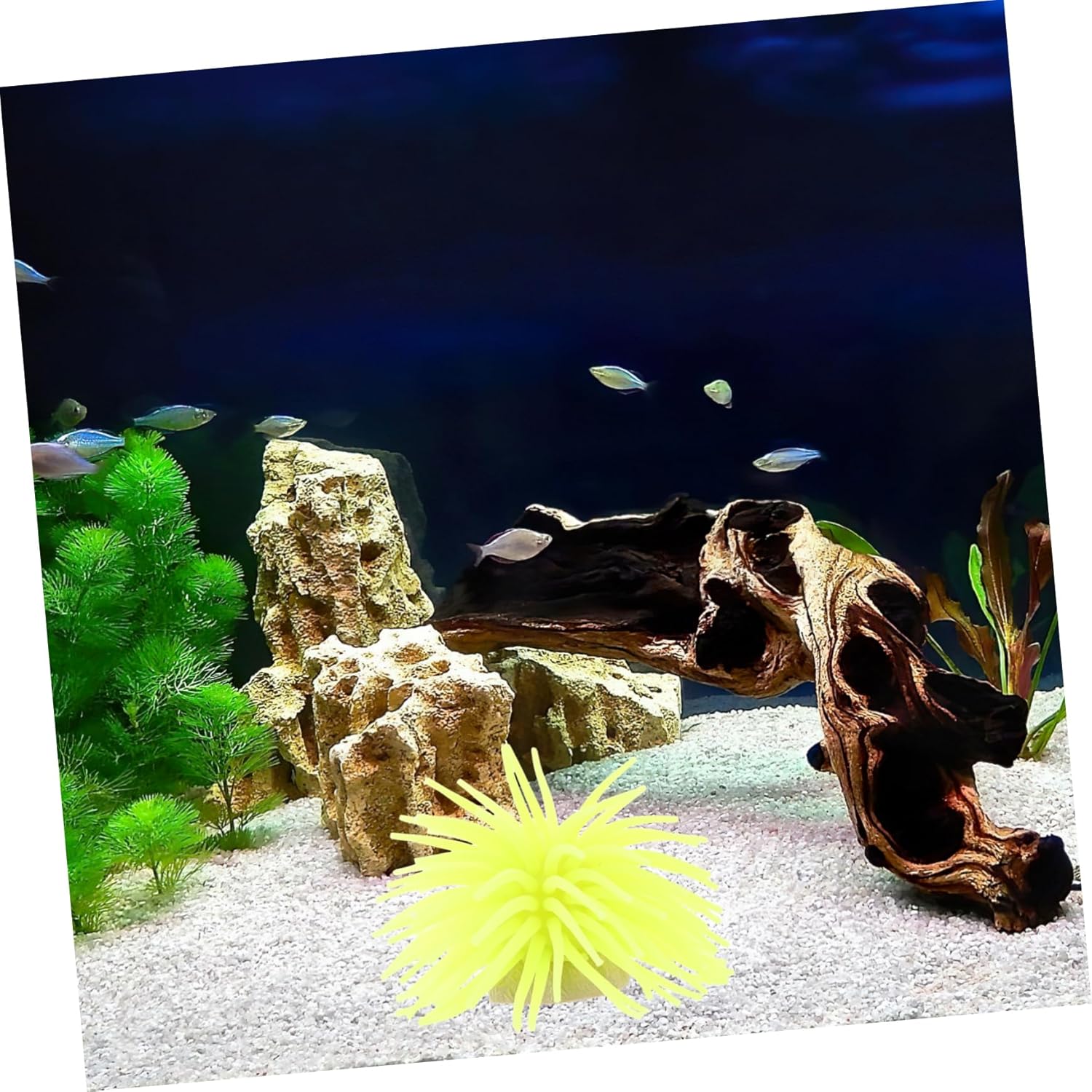 Didiseaon 4 unids Decoración Falso Mar Coral Adorn Fish Tank Paisaje Acuario Suministros Ornamento Subacuático Silicona Coral Acuario Equipo
