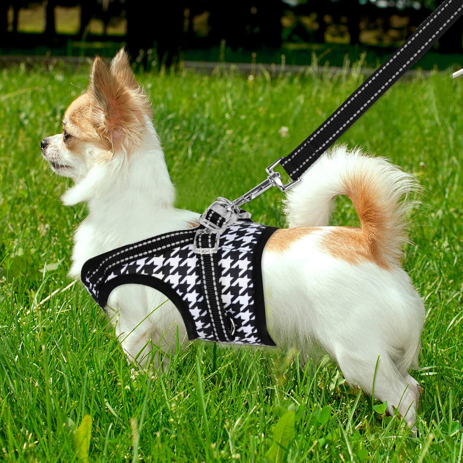Arnés a cuadros para perro, arnés para perro pequeño sin tirones, juego de arnés suave para cachorros y correa, arnés para perro XS, arnés para