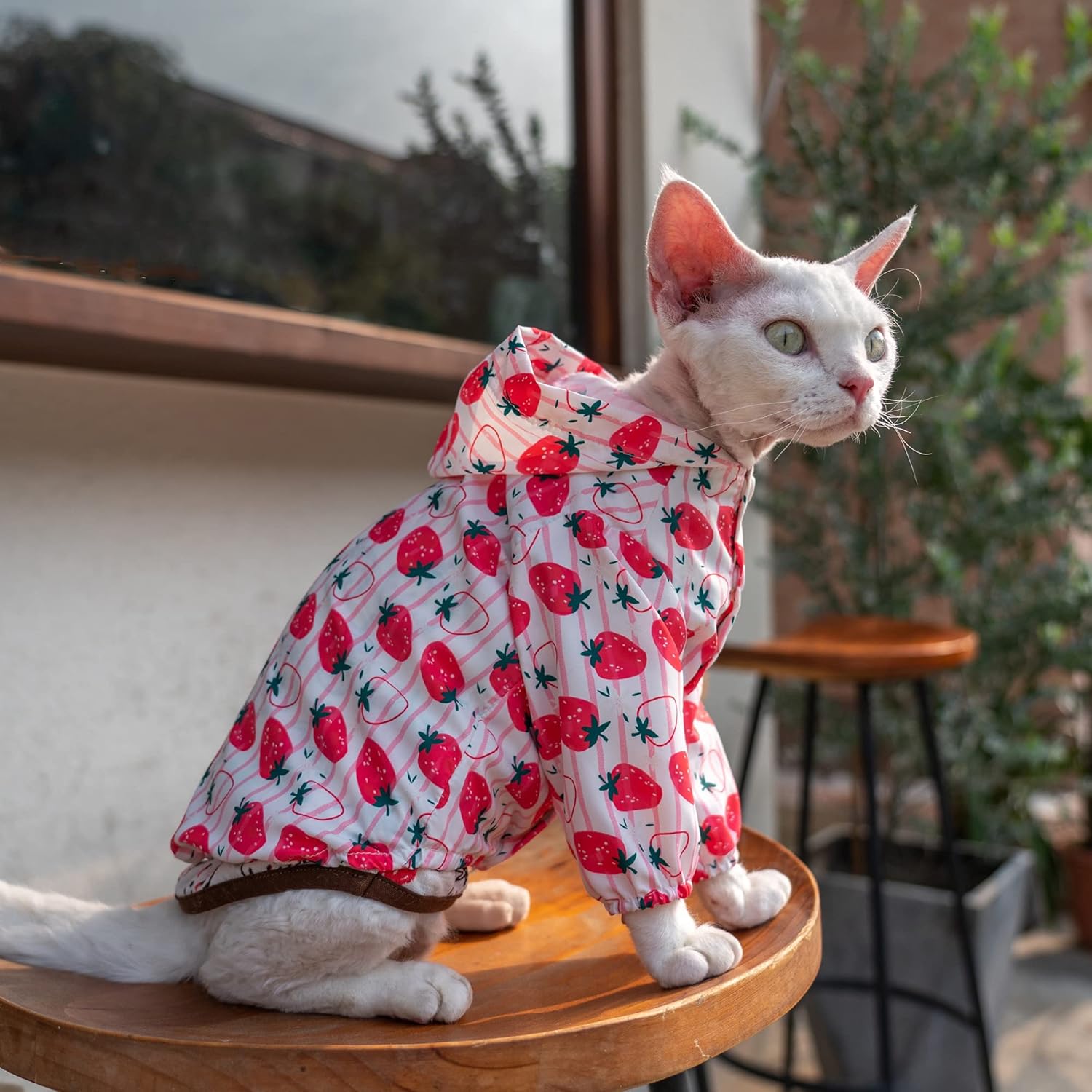 Ropa de verano para gatos sin pelo, ropa de protección solar anti-ultravioleta, chaqueta delgada de manga larga con capucha para Sphynx, Cornish