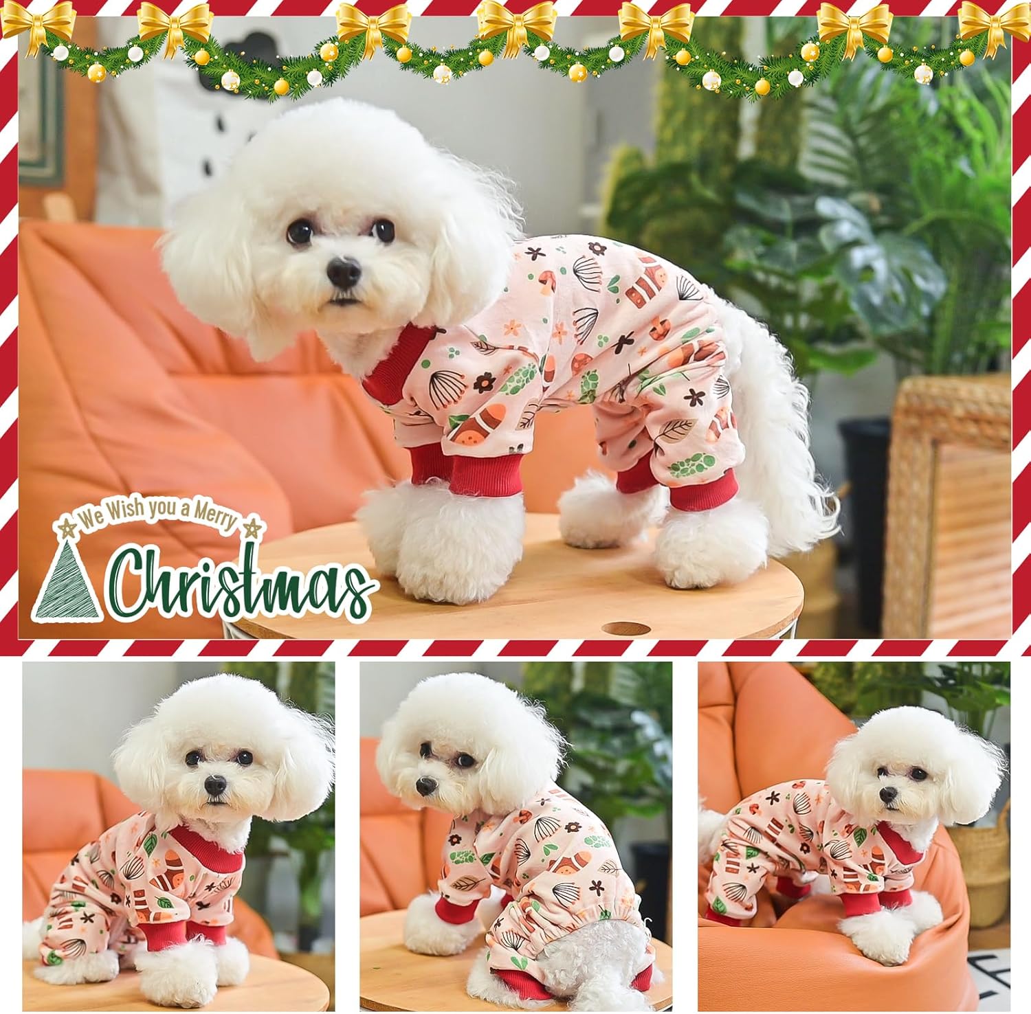 BEAUTYZOO Pijama elástico para perros pequeños y medianos, ropa de terciopelo suave para primavera y verano, para niñas y niños, con cuello