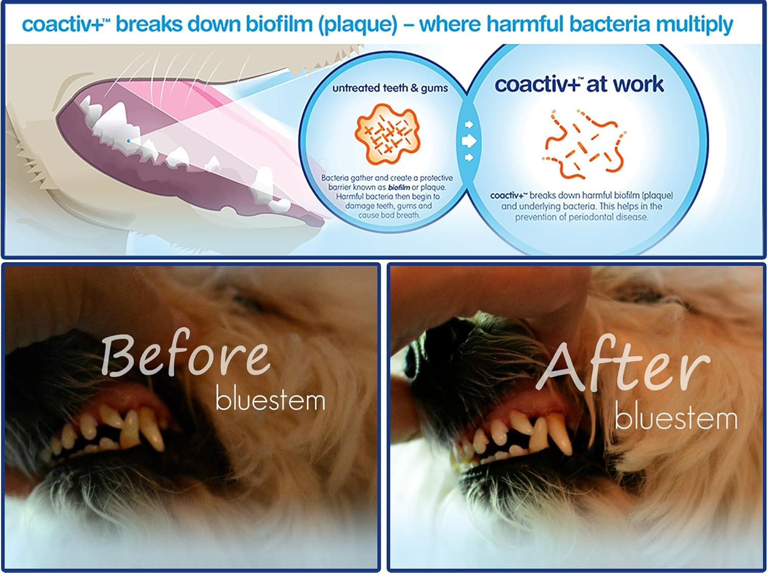 Aditivo de agua para mascotas Cuidado bucal para perros y gatos, mal aliento, enjuague dental ambientador trata placa y dientes sarro. Tratamiento