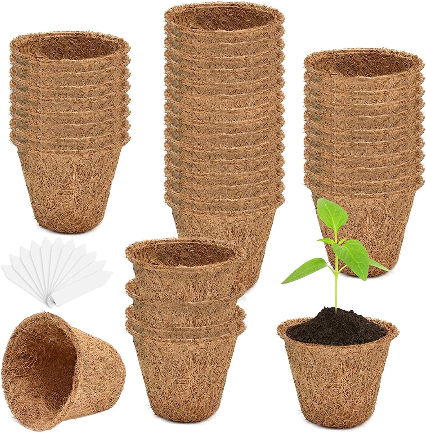 Halatool Paquete de 100 macetas de turba de coco para principiantes, macetas biodegradables para jardín, guardería, kits de germinación de semillas