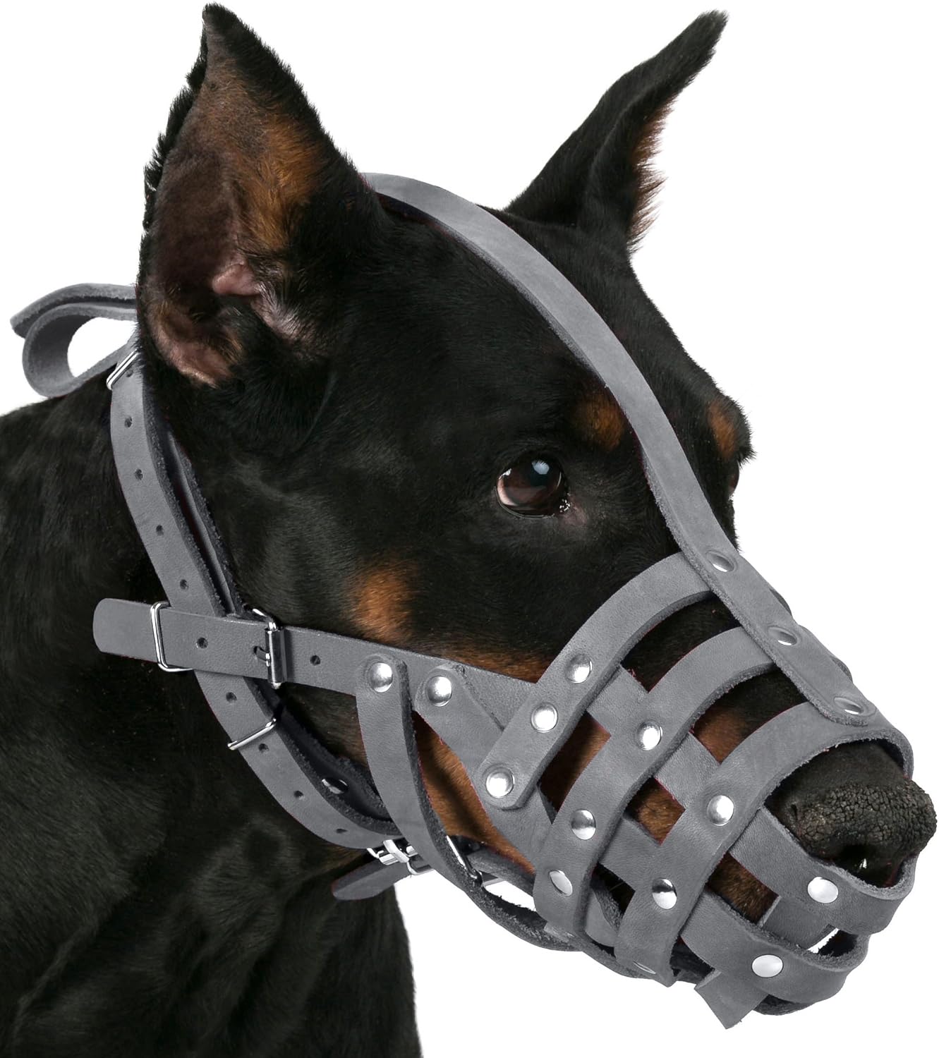 CollarDirect Bozal de cuero para perro Doberman, pastor alemán, dálmata, razas medianas y grandes, color rosa y gris (L, gris)